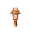N1.webp