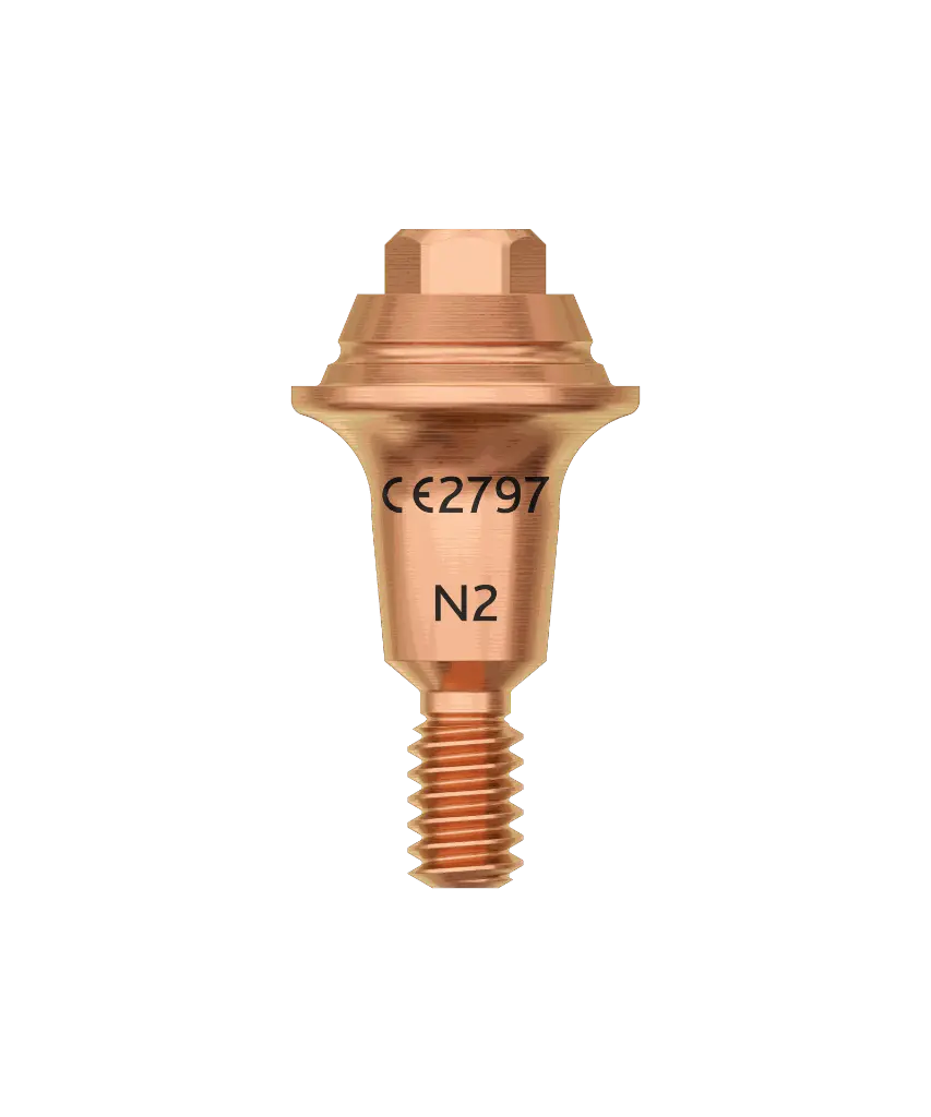 N2.webp