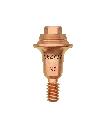 N2.webp