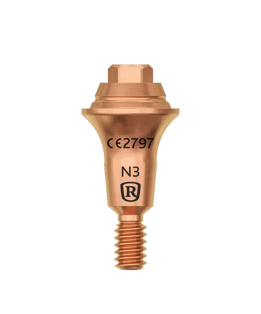 N3 (1).webp