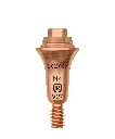 N4 (1).webp