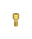 Prosthetic screw, stand-alone, flat, N.